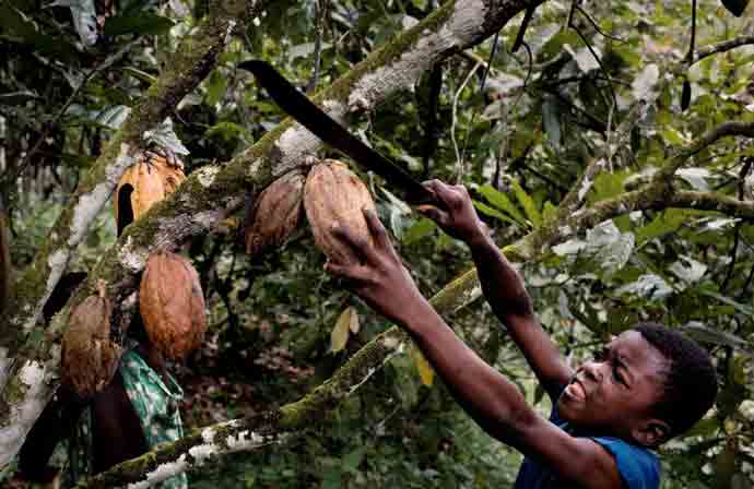 Children and chocolate - The sweet industry's bitter side