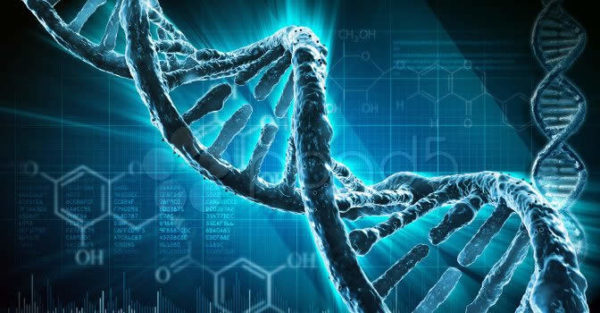 Dna alieno nei malati di leucemia