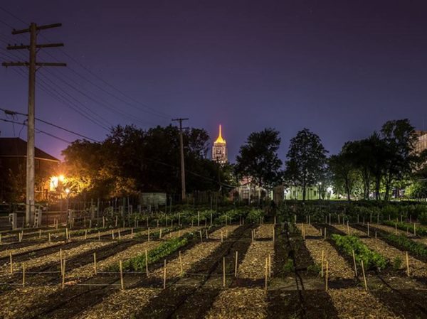 Mufi, quartiere agricolo urbano a Detroit